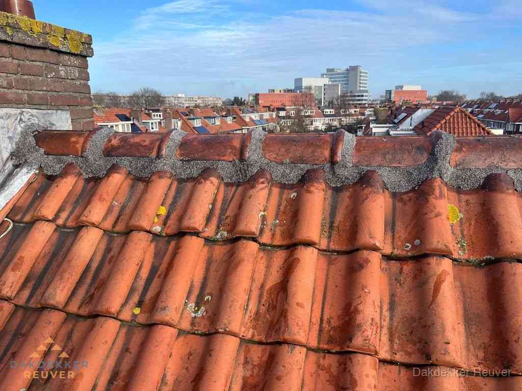 Reuver Daken Renoveren Reuver Daken Renoveren
